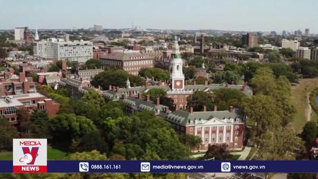 Chủ tịch Đại học Harvard từ chức vì bê bối