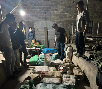 Đột kích ổ tàng trữ trái phép pháo, thu giữ gần 1 tấn pháo nổ