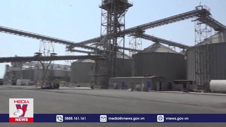 Căng thẳng ở Biển Đỏ ảnh hưởng lớn đến kinh tế Trung Đông