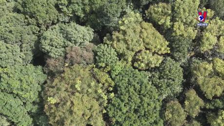 Tương Lai Xanh ngày 04/1/2024