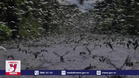 Peru - Nơi “đất lành chim đậu”