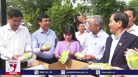 An Giang xuất lô xoài đầu tiên sang Úc và Hoa Kỳ