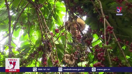 Bản tin thời sự 13h ngày 05/01/2024