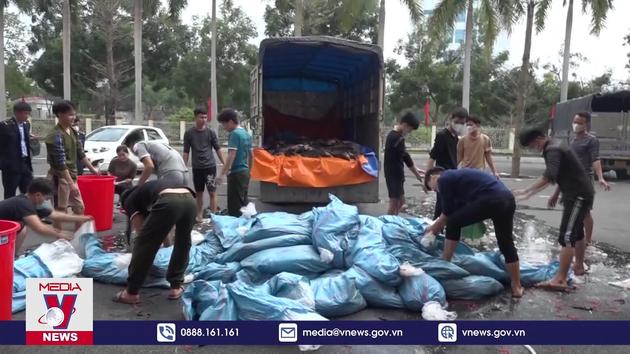 Công an tỉnh Lào Cai bắt giữ hơn 3 tấn cá tầm không rõ nguồn gốc