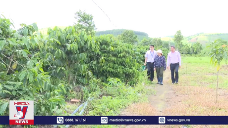 Giải ngân 100% vốn chính sách ưu đãi phục hồi kinh tế