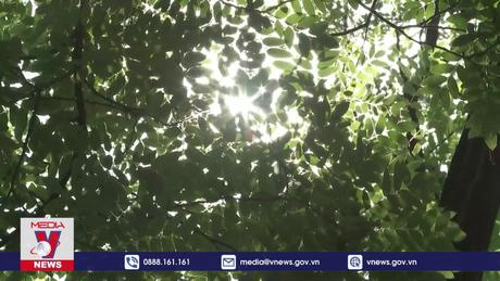 Trung Quốc ghi nhận năm nóng nhất lịch sử