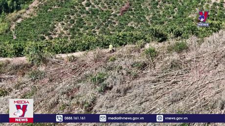 Phát hiện, xử lý vụ phá rừng phòng hộ tại Đắk Nông