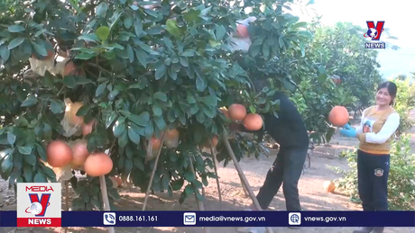 Bản tin thời sự 11h ngày 08/01/2024