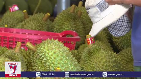 Xuất khẩu rau quả nhiều tín hiệu lạc quan