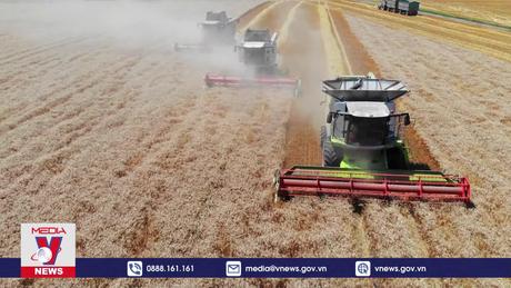 Tiềm năng hợp tác về nông nghiệp giữa Việt Nam và Canada