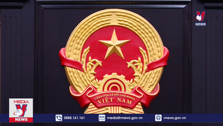 Luật sư đề nghị xem xét bối cảnh phạm tội trong vụ Việt Á 