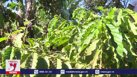 Làm lại cuộc đời nhờ vốn vay chính sách