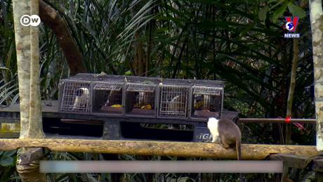 Tạp chí toàn cầu số 850