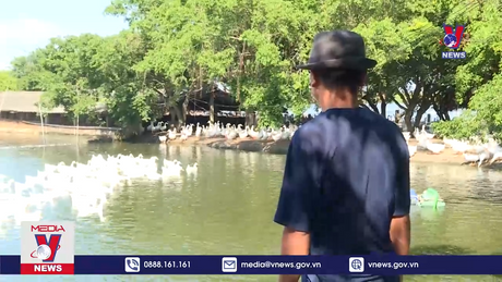 Nhập lậu nhiều hơn con số được thống kê 