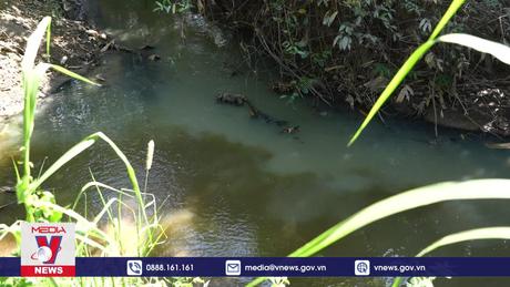 Người dân Tây Ninh bức xúc vì ô nhiễm môi trường do nước thải
