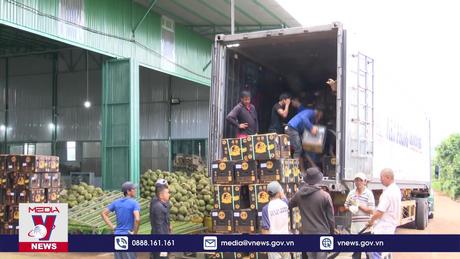 Xuất khẩu rau quả chế biến lần đầu vượt 1 tỷ USD