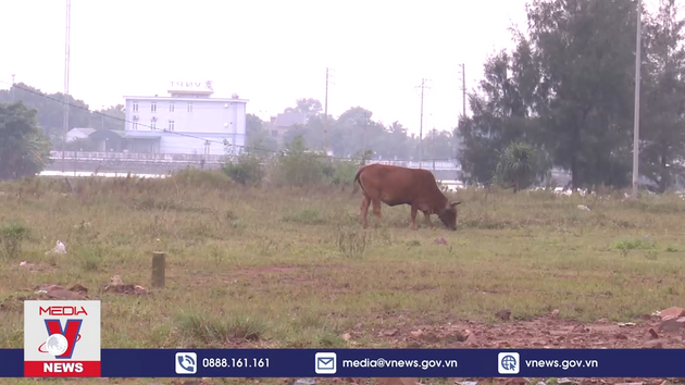 Khu TĐC ở Thanh Hóa sẽ sớm có điện, nước