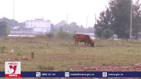 Khu TĐC ở Thanh Hóa sẽ sớm có điện, nước