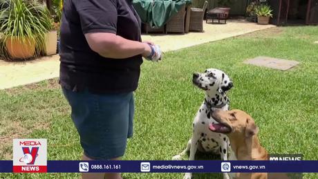 Australia thử nghiệm robot siêu âm tim từ xa đầu tiên trên thế giới