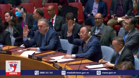 HĐBA thông qua nghị quyết về các vụ tấn công tàu thuyền trên Biển Đỏ