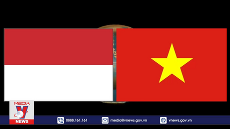 Làm sâu sắc thêm quan hệ Đối tác chiến lược Việt Nam - Indonesia