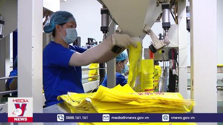 Xuất khẩu gạo Việt Nam lập kỷ lục