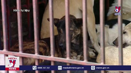 Nghiên cứu hoàn thiện hệ thống pháp luật bảo đảm phúc lợi cho động vật nuôi