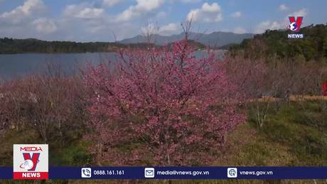 Bản tin thời sự 11h ngày 12/01/2023