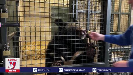 Thành viên mới đặc biệt của Vườn thú Scotland