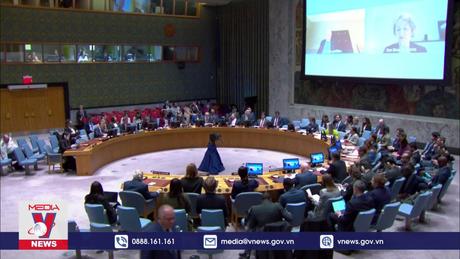 Hội đồng Bảo an thảo luận về vấn đề di dân ở Gaza