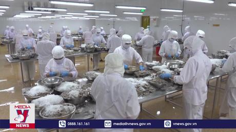 Giao dịch hàng hóa trên sàn Việt Nam đạt 4.000 tỷ đồng mỗi ngày