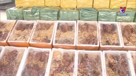 Đường dây nóng 389 ngày 13/01/2024