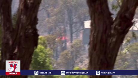 Australia ban bố cảnh báo khẩn cấp do cháy rừng