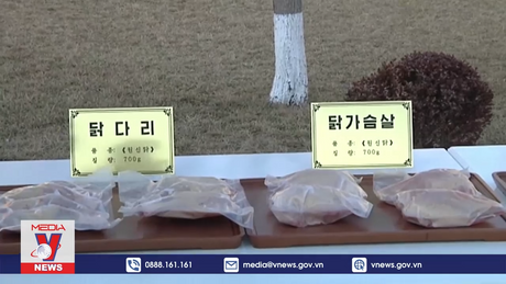 Triều Tiên khai trương nông trại nuôi gà