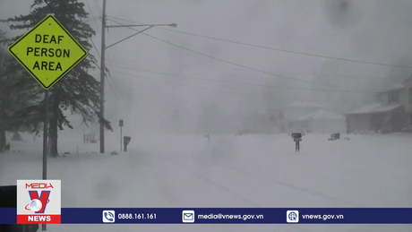 Bão tuyết nghiêm trọng tại Mỹ