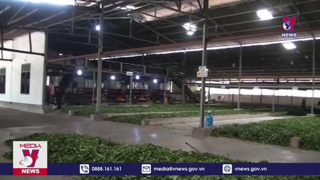 Bản tin thời sự 8h ngày 16/01/2024