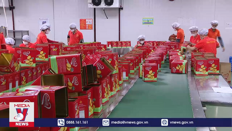 Chăm lo lương, thưởng Tết cho người lao động