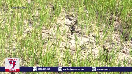 Chủ động ứng phó với nguy cơ hạn hán, thiếu nước