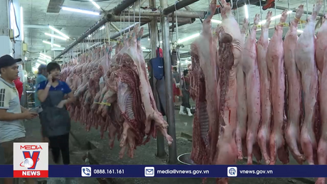 Nông sản 3 miền tấp nập về chợ đầu mối TP.HCM