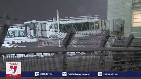 Hai máy bay thương mại va chạm tại Nhật Bản