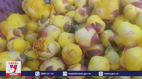 Gia tăng giá trị cho sản phẩm trà hoa vàng