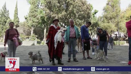 Nghi lễ ban phước cho thú cưng ở Mexico
