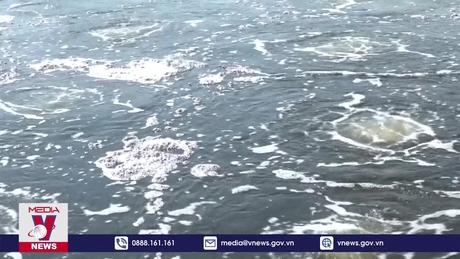 Sản lượng tôm nước lợ đóng góp hơn 20 % kim ngạch xuất khẩu