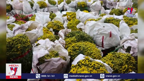 Bản tin Thời sự 11h ngày 19/1/2024