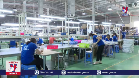 Số lượng cần đi kèm chất lượng doanh nghiệp hoạt động 