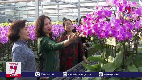 Thăm làng hoa công nghệ cao ở Hà Nam 