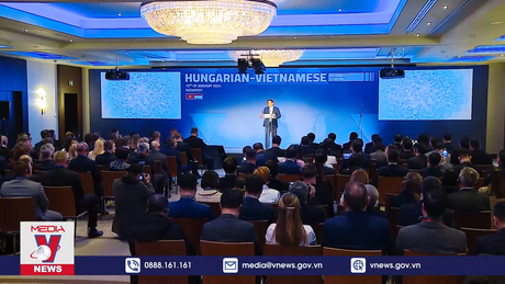 Diễn đàn Doanh nghiệp Việt Nam - Hungary