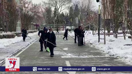 Nhiều quốc gia bị ảnh hưởng bởi không khí lạnh và bão tuyết