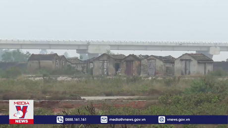 Giảm thu nhập khiến nhiều diêm dân bỏ hoang đồng muối