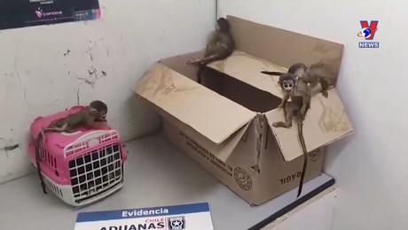 Đường dây nóng 389 ngày 20/01/2024